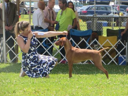 Image of Rhapsody Hit Me With Ur Best Shot