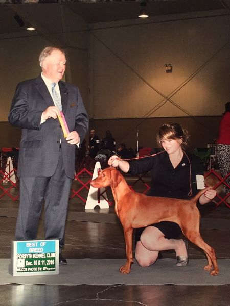 Image of Rhapsody Hit Me With Ur Best Shot