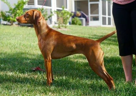 Image of Rhapsody Eye Got You Good