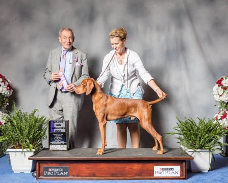 Image of Sleepy Hollow It Ain't Easy