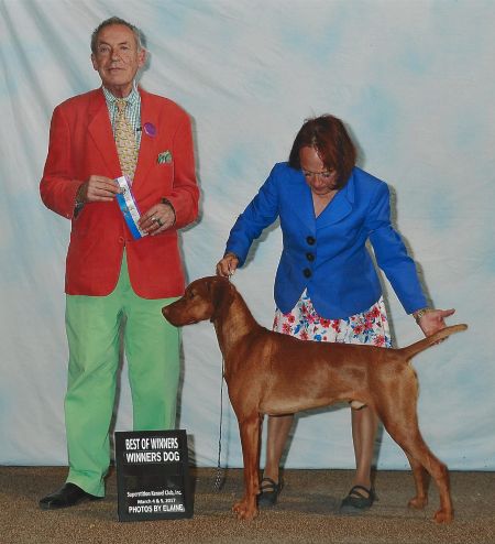 Image of Sleepy Hollow Tribute To Dirigo