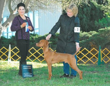 Image of Russet Leather Wind And Fire