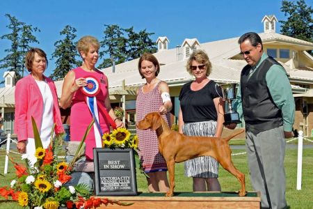 Image of Baroque Eastwind's Cool Runnings