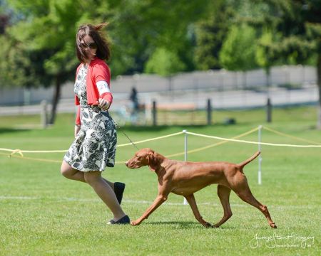 Image of Baroque Eastwind's Cool Runnings