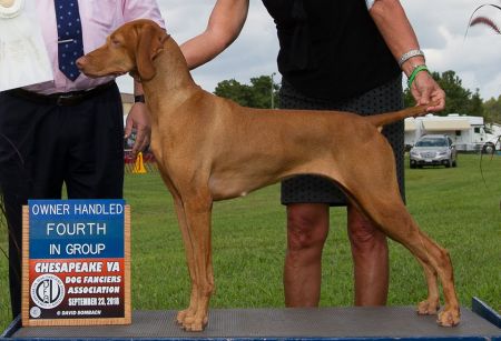 Image of Dobrocat's Cg Bryn