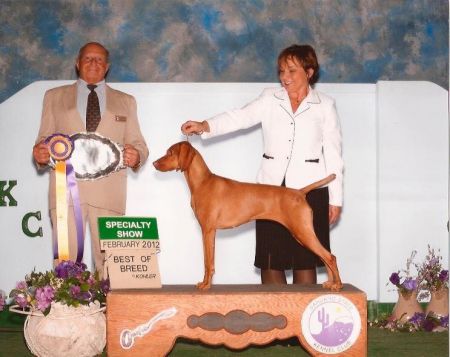 Image of Mehagian's Amber-Eyed Sol