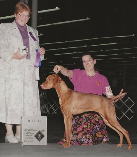 Image of Starfire's Born To Be Bad