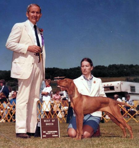 Image of Firebrand's Ziggy Stardust