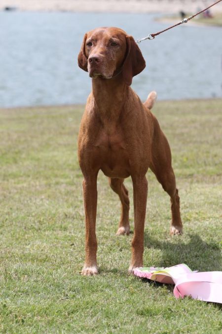 Image of HRQ Guess Who's In Trouble