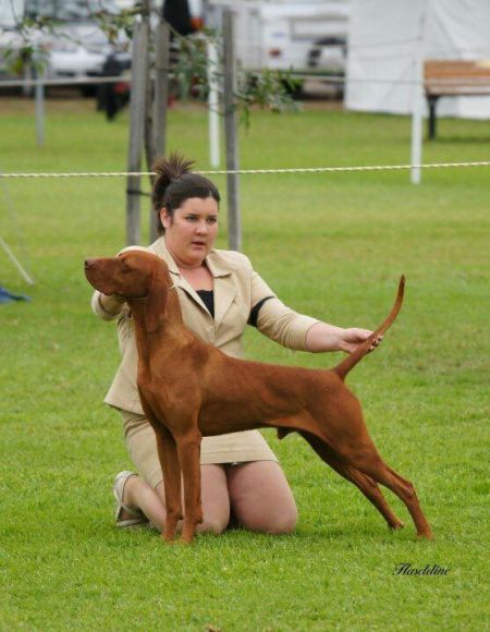 Image of Graebrook Withoutremorse