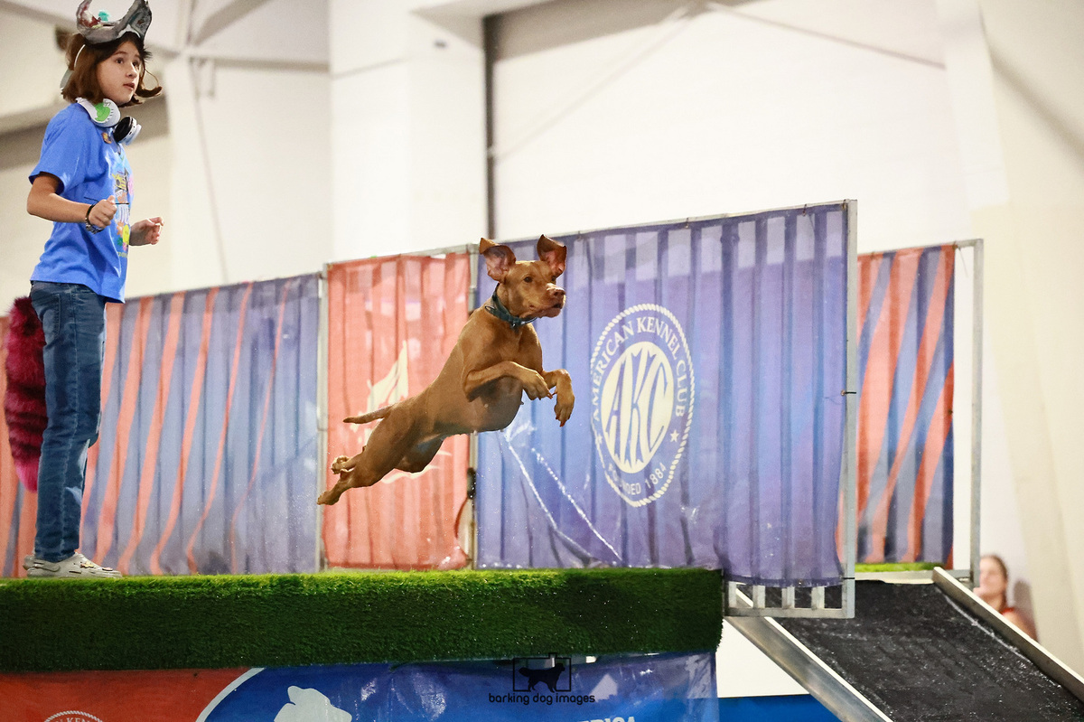 Image of Tina Trading Naira Nadira