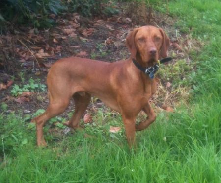 Image of Barat Living Sagely Of Rafoej