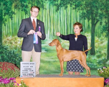 Image of Mehagian-Valhalla's Star of Sol