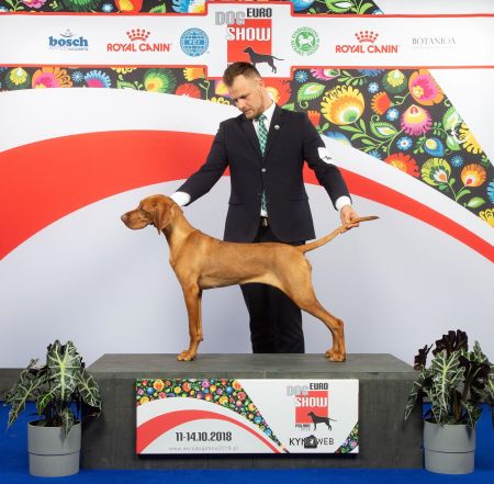 Image of Soczysta Papaya Figowe Pola