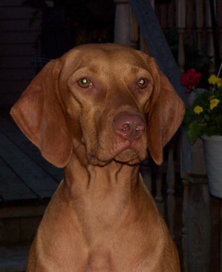 Image of Lostcreeks Treasured Journey