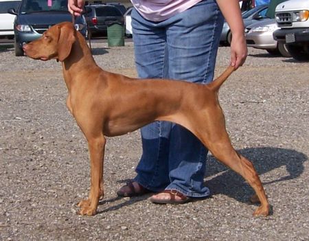 Image of Lostcreeks Treasured Journey