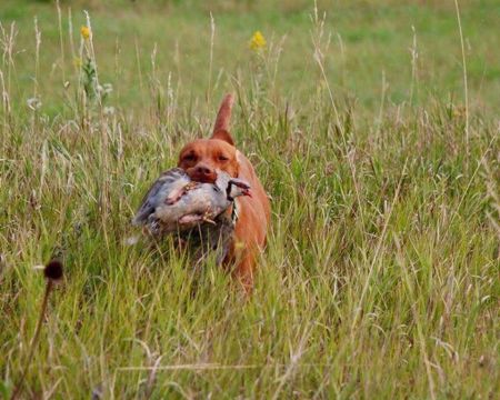 Image of Kizmar Panacea Just Lean Into It