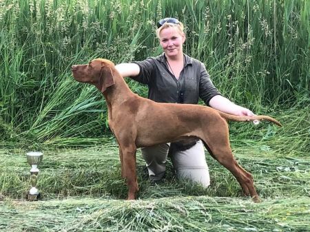 Image of Antaresi-Láng Merész