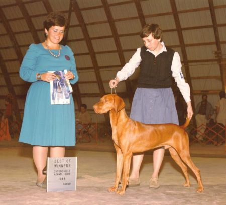 Image of Amberway Travln Medicine Sho