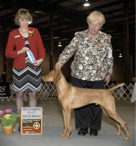 Image of Gatehouse N Banker's Play To Win