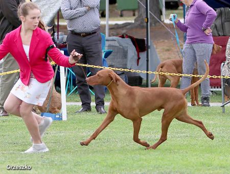 Image of Bokezu Jularo Jimmy {*}
