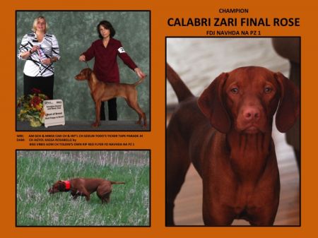 Image of Calabri Zari Final Rose