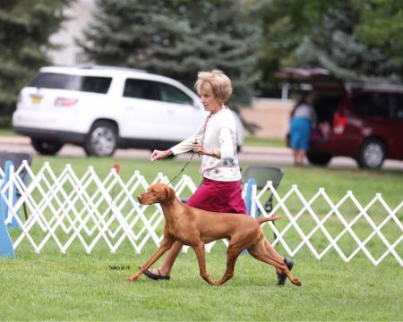 Image of Solterra's N Boulder's Timelock To My Heart