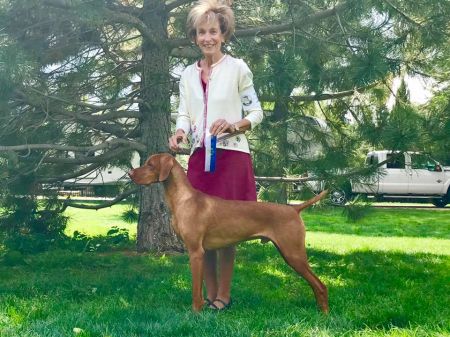 Image of Solterra's N Boulder's Timelock To My Heart