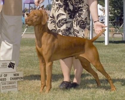 Image of Rheingold Loge Hamilton