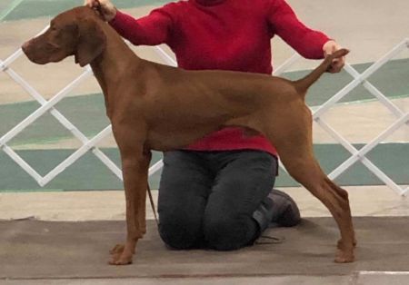 Image of Cameo's Rollin' N Tumblin'