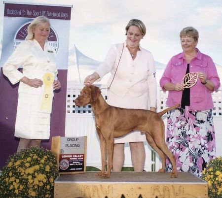 Image of Starcastle's Butter Rum