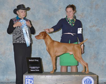 Image of Riverside's Start Me Up Jagger