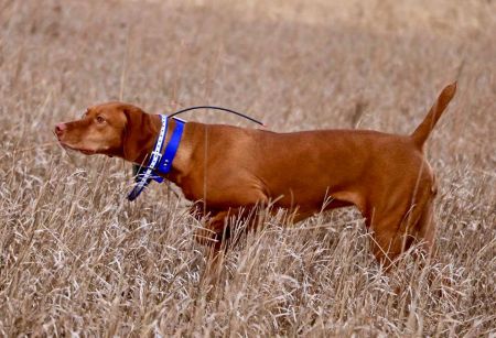 Image of Meghan Markham