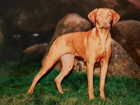 Image of Szeret Elsö Ritka