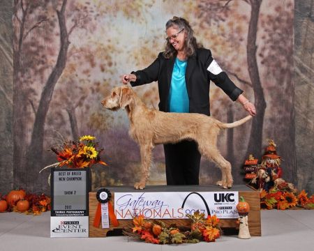 Image of Crookstone-Loroka Chasing The Dream