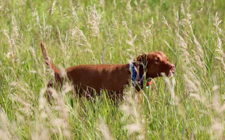 Image of Razn Expectations