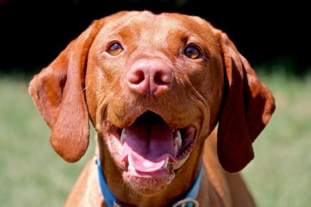 Image of Razn Expectations