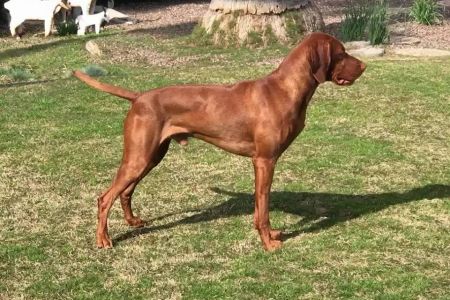 Image of Mythic's Teitr