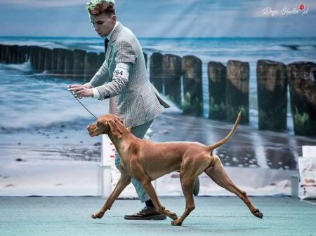 Image of Shilla Line Euro