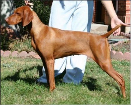 Image of Encounter Storm Winds Secretariat