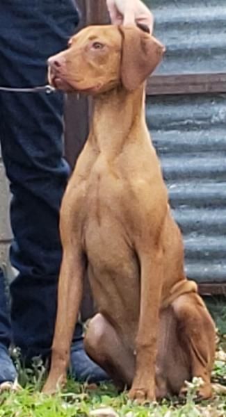 Image of Mira N' Storm Winds Pale Moon Rises