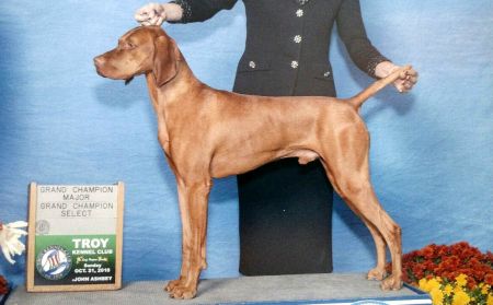 Image of Szizlin's Meet Me At The Plaza