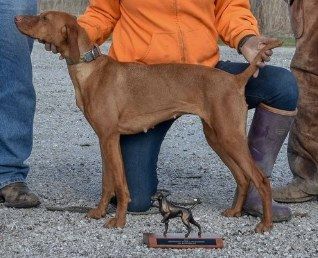 Image of Ck Casey Cay