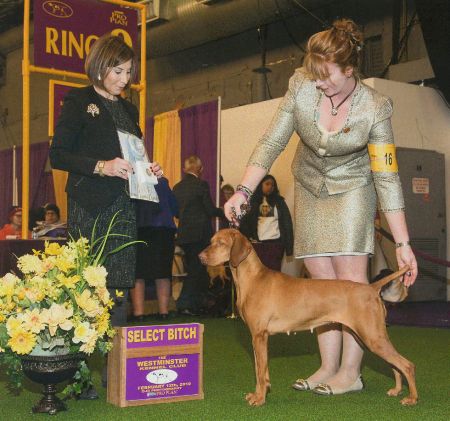 Image of Pinewood N Pura Vida's Playing With Fire