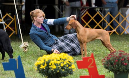 Image of Pinewood N Pura Vida's Playing With Fire