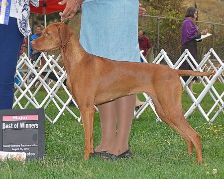 Image of Sokoldalu's Pearl of the Sea at Rose Point
