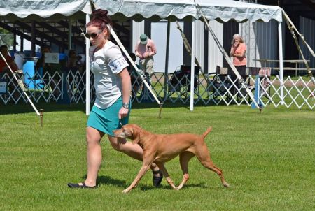 Image of Kizmar Fire N Ice