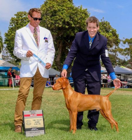 Image of Russet Leather Skychief