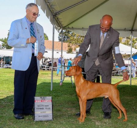 Image of Russet Leather Skychief