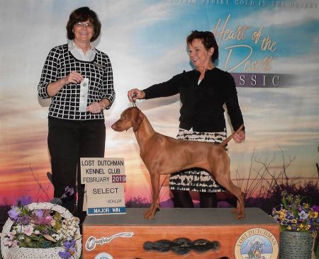 Image of Mehagian-Valhalla's Star of Sol